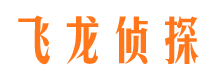 狮子山市调查公司